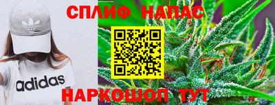 мет Дубна