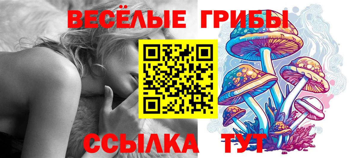Псилоцибиновые грибы прущие грибы Мичуринск